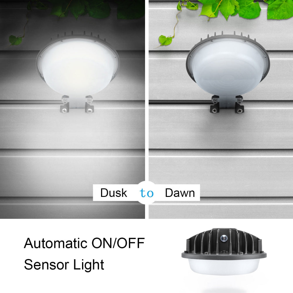 Haloitte Lighting LED Barn Light 1