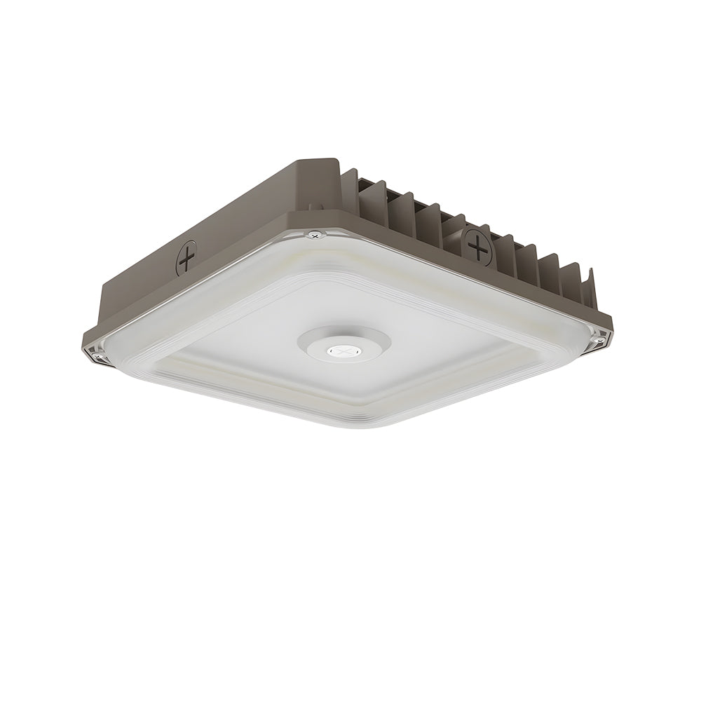 Haloitte Lighting LED Canopy Light
