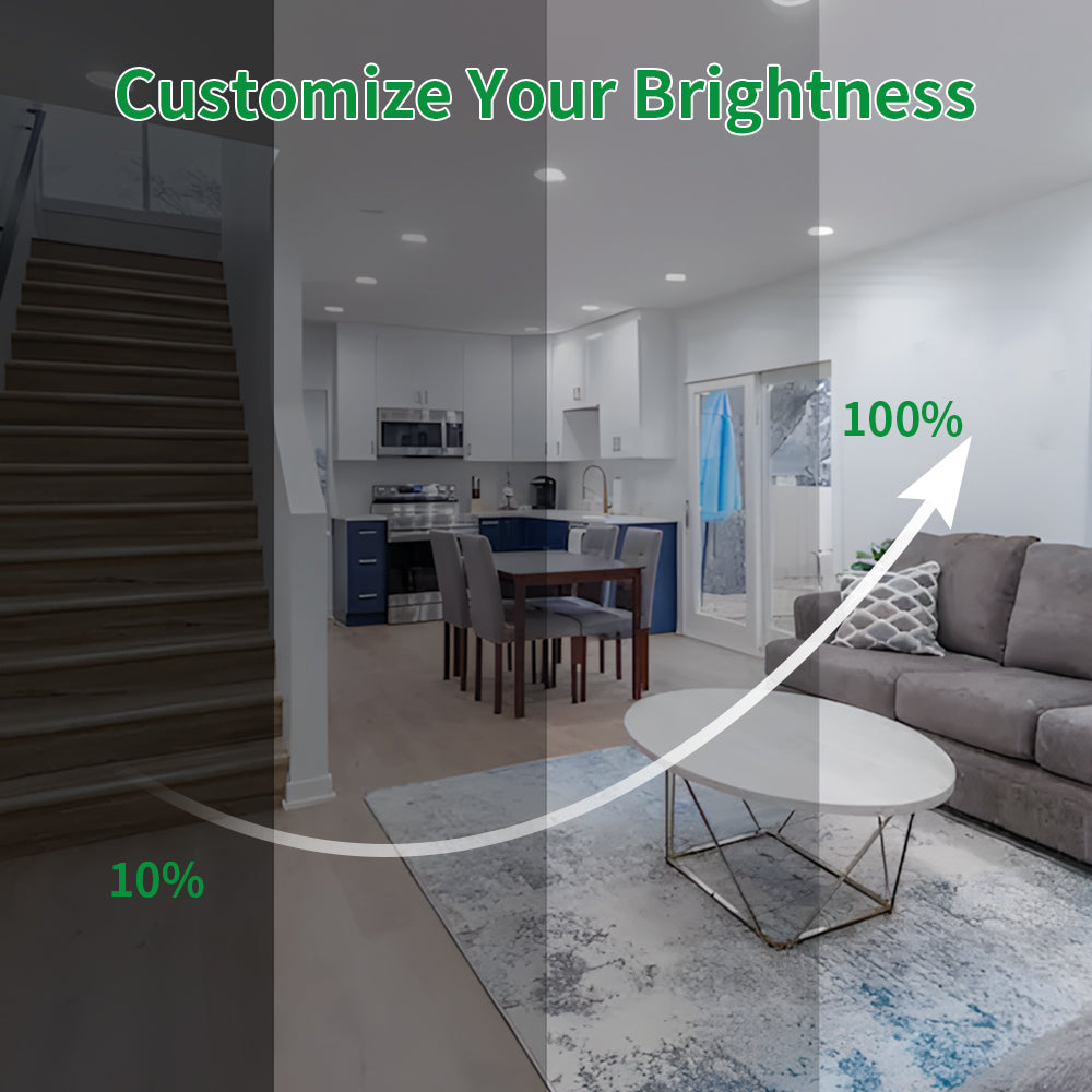 Haloitte Lighting 6 Inch Retrofit Recessed Downlight