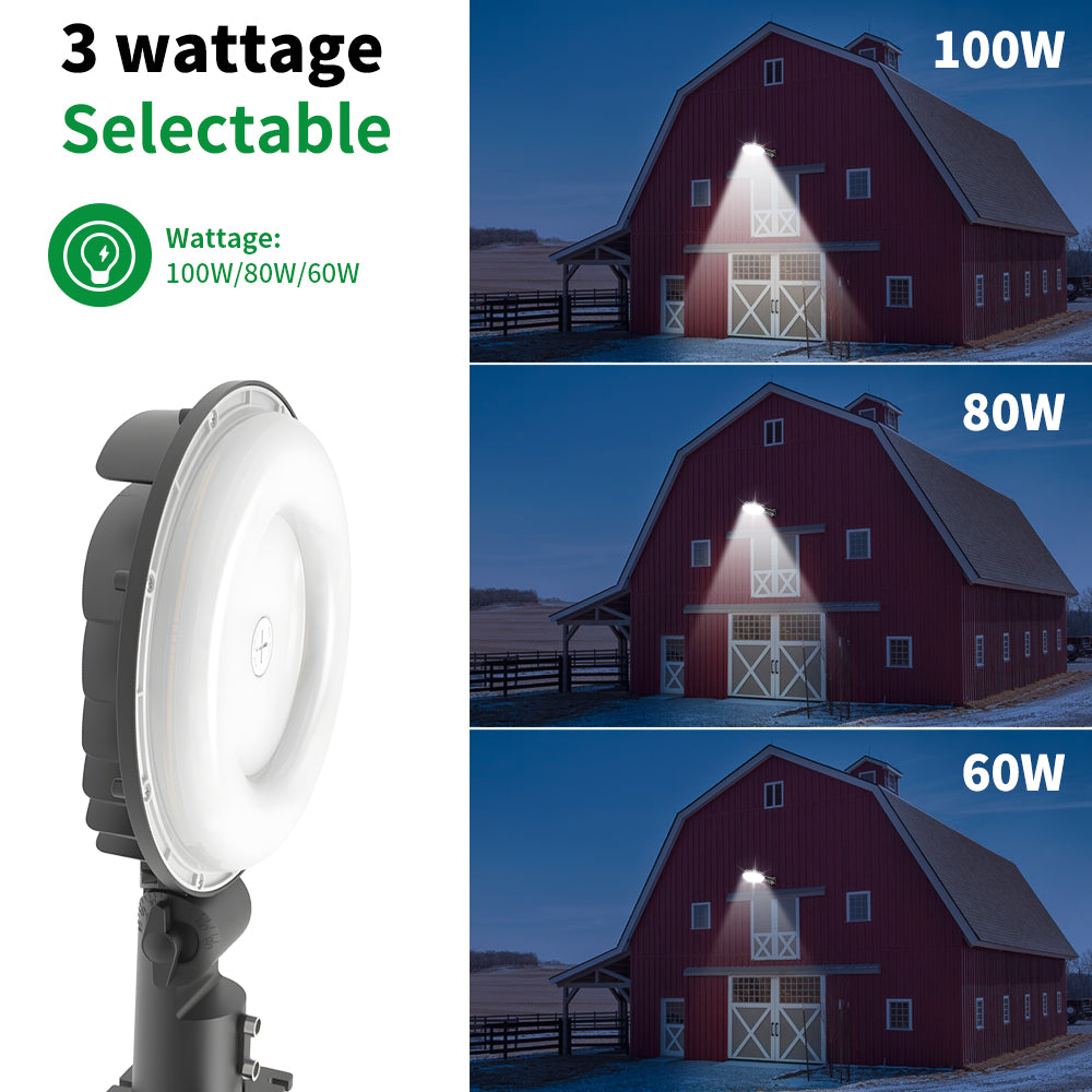 Haloitte Lighting LED Barn Light