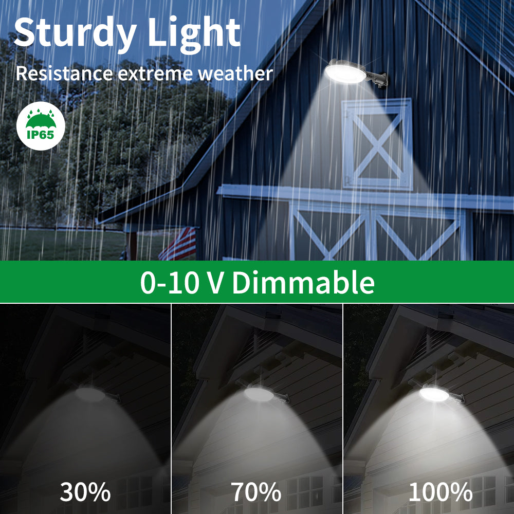 Haloitte Lighting LED Barn Light