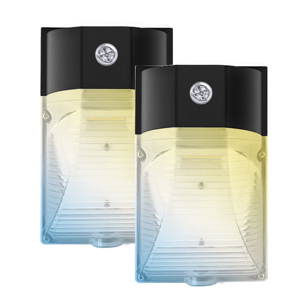 Haloitte Lighting LED Mini Wall Pack Light