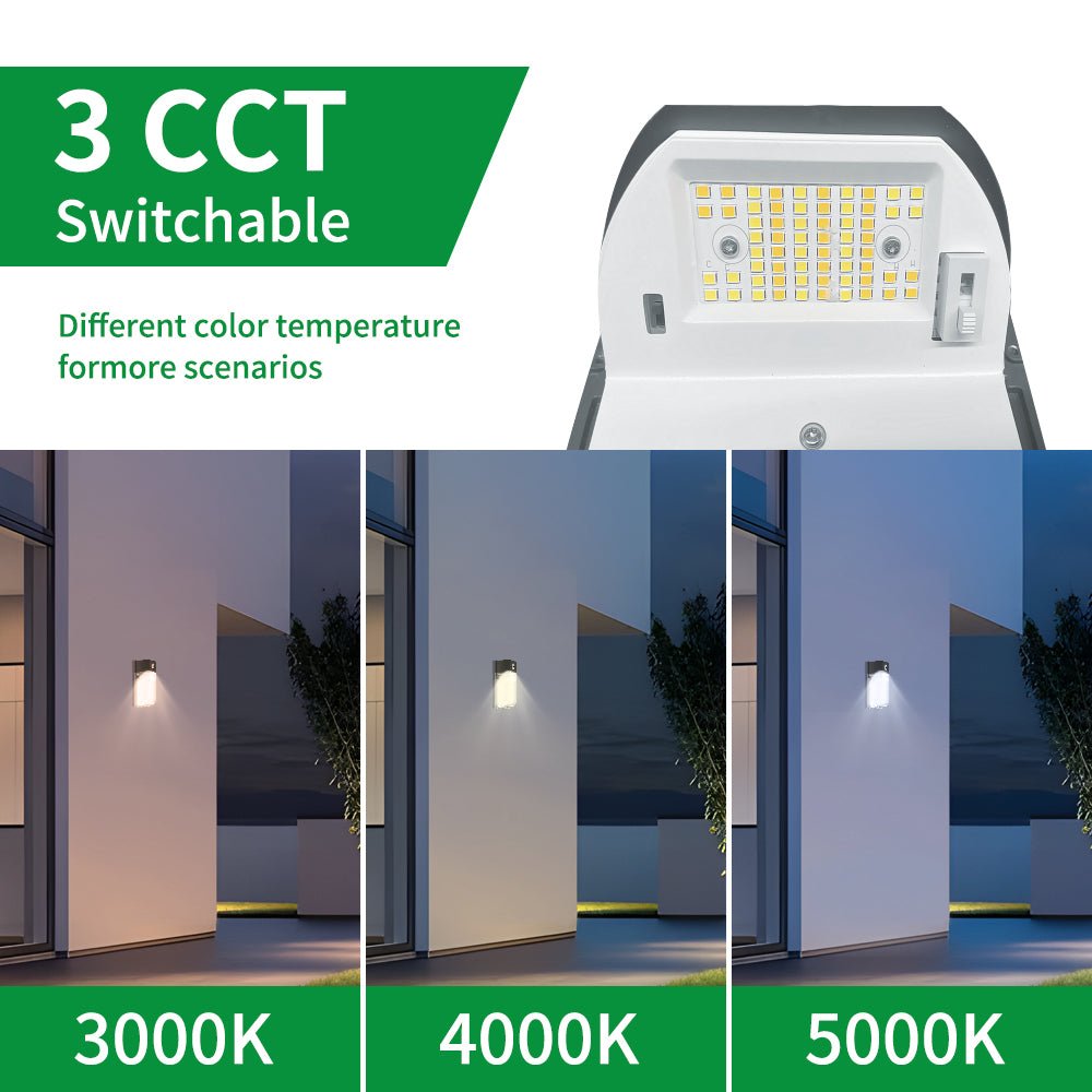 Haloitte Lighting LED Mini Wall Pack Light