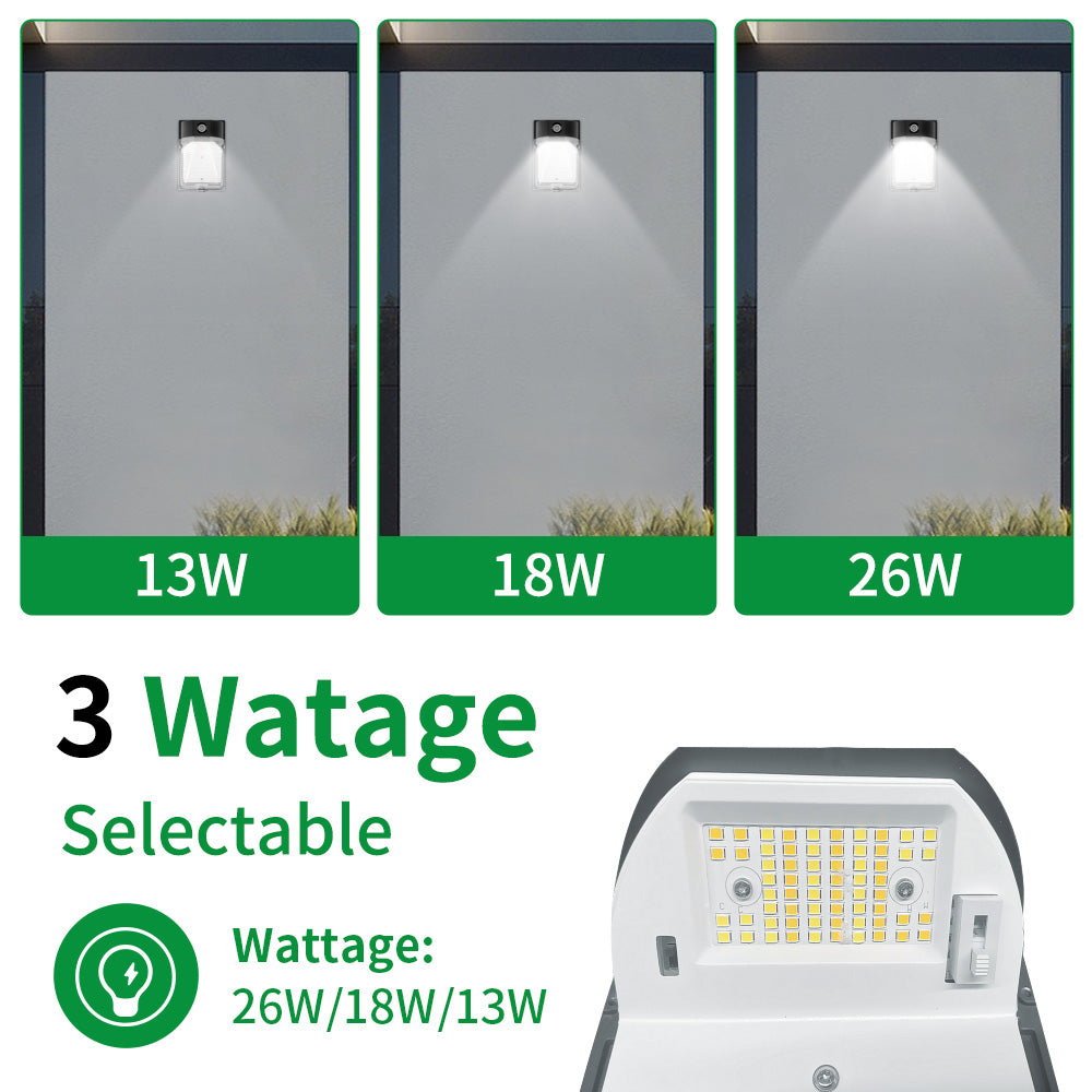 Haloitte Lighting LED Mini Wall Pack Light