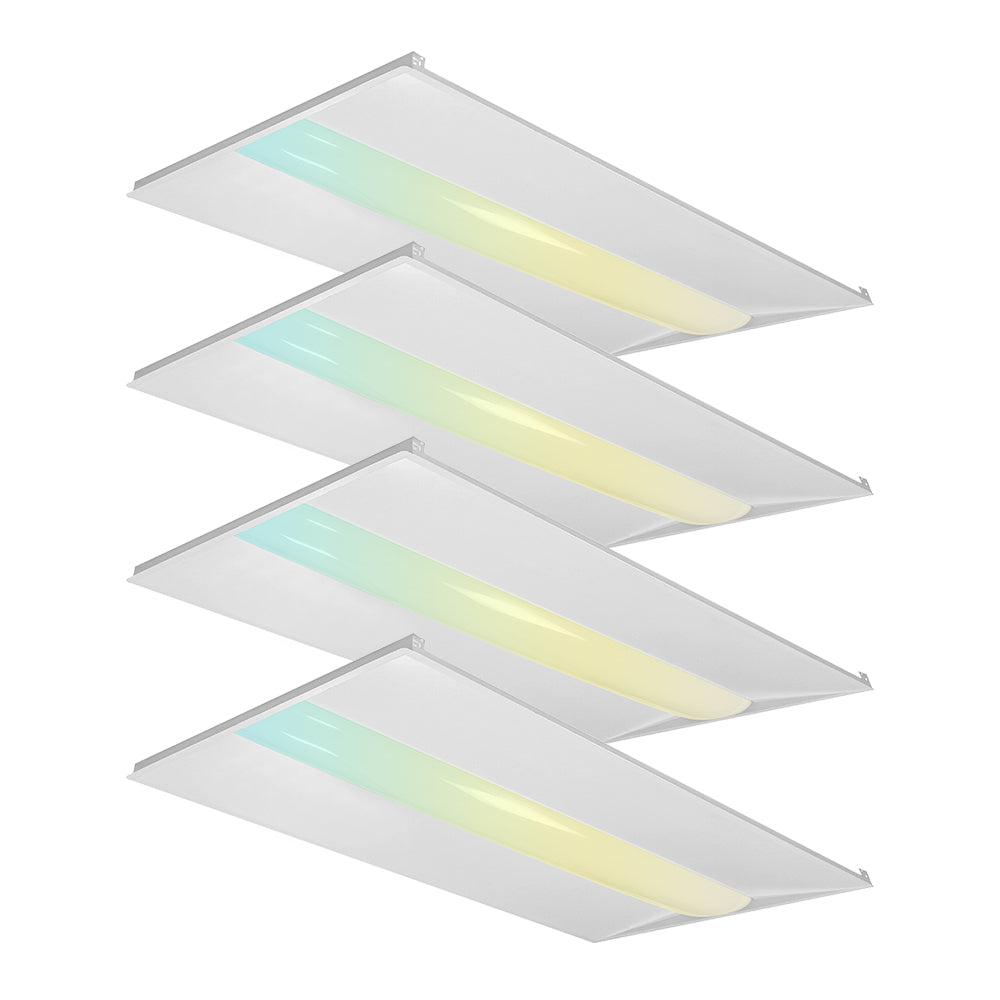 Haloitte Lighting 2x4ft Troffer Light