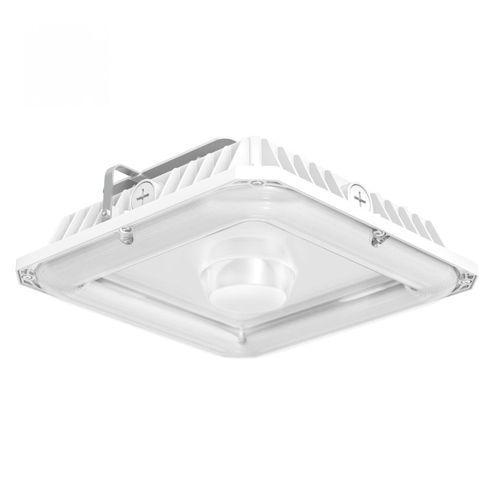 Haloitte Lighting Canopy Light
