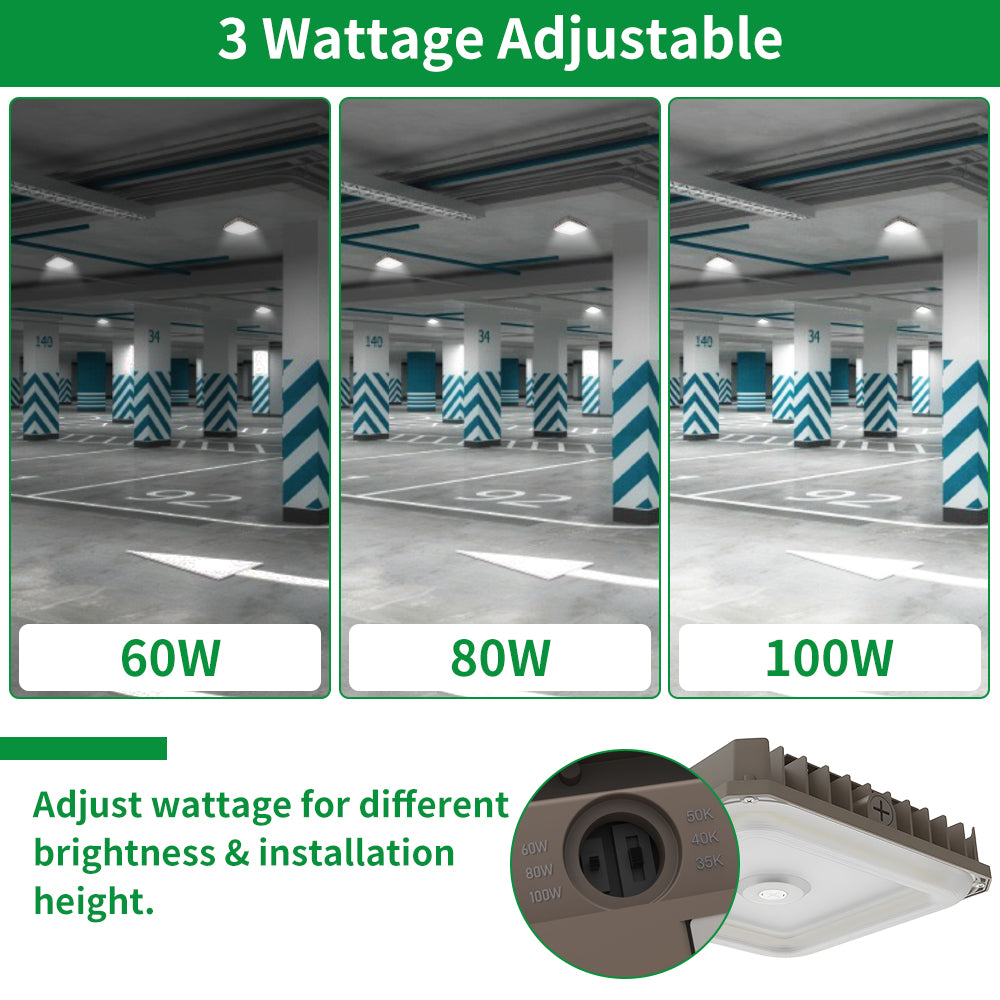 Haloitte Lighting LED Canopy Light