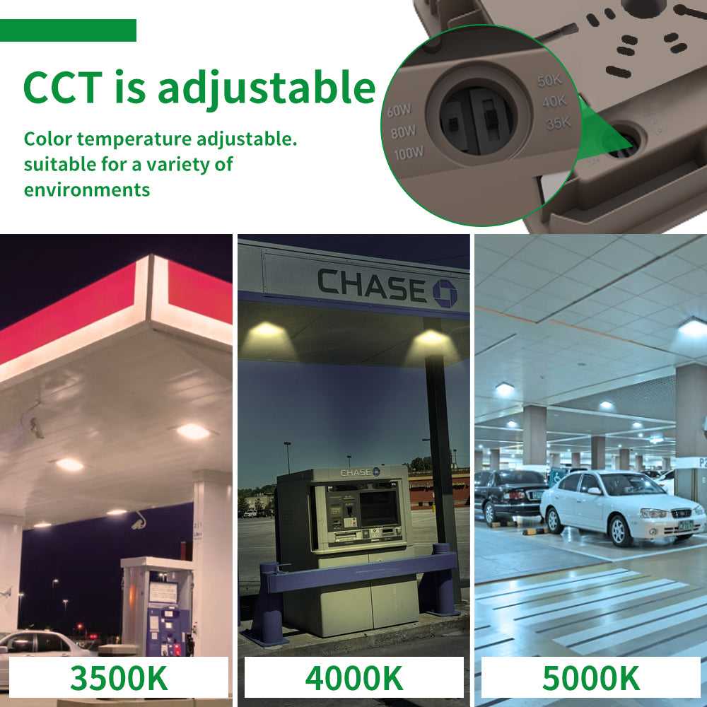 Haloitte Lighting LED Canopy Light