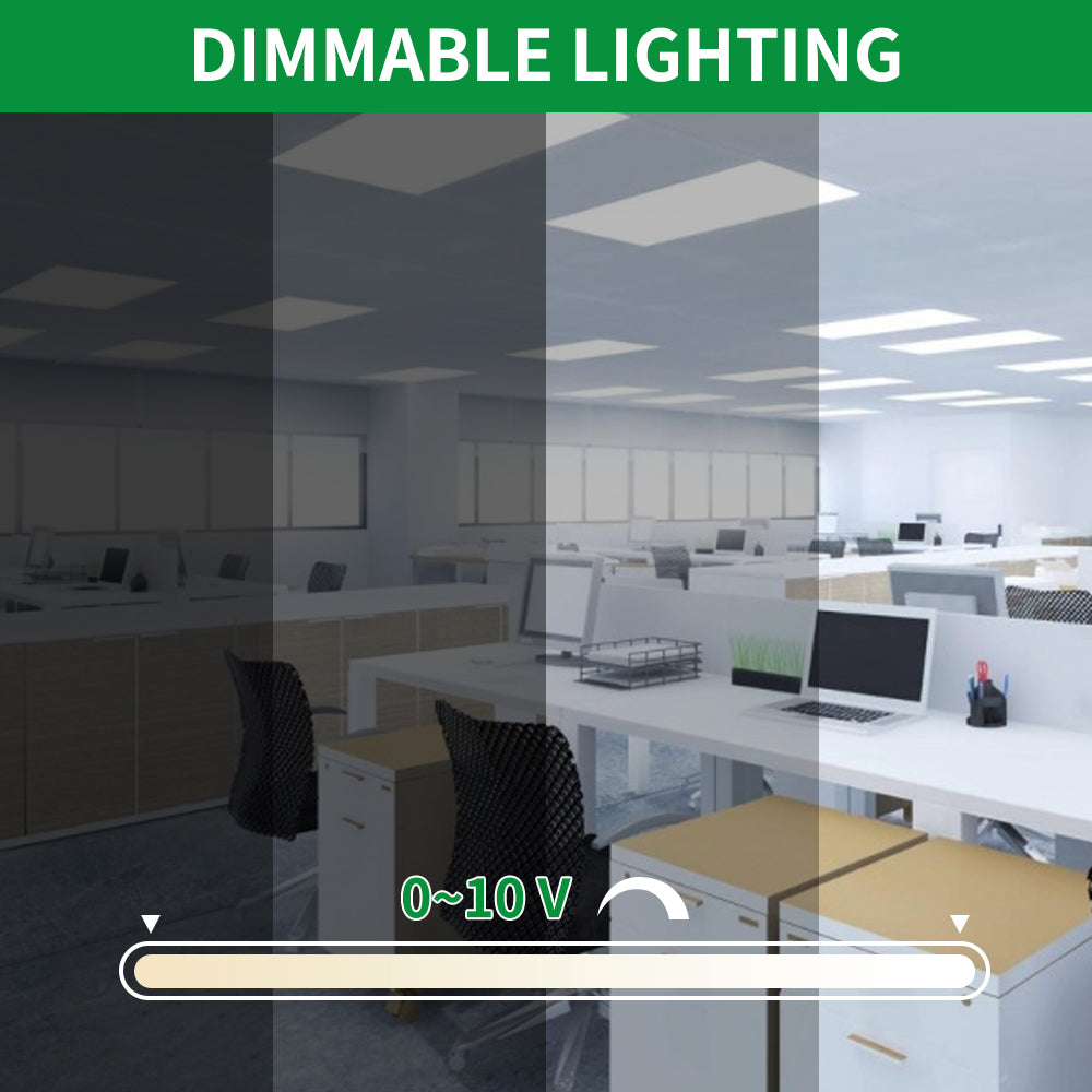 Haloitte Lighting 2x4ft Panel Light