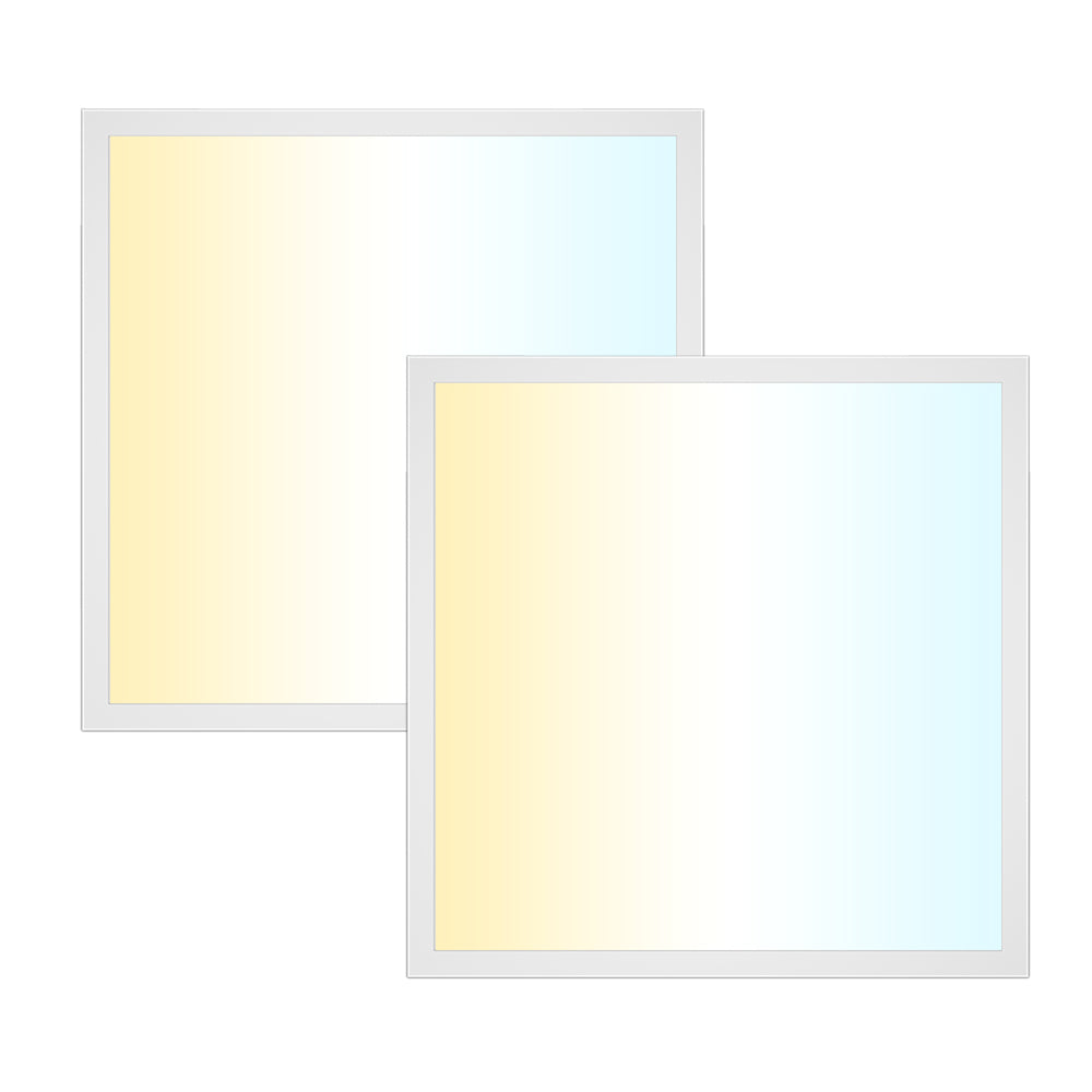 Haloitte Lighting 2x2ft Panel Light