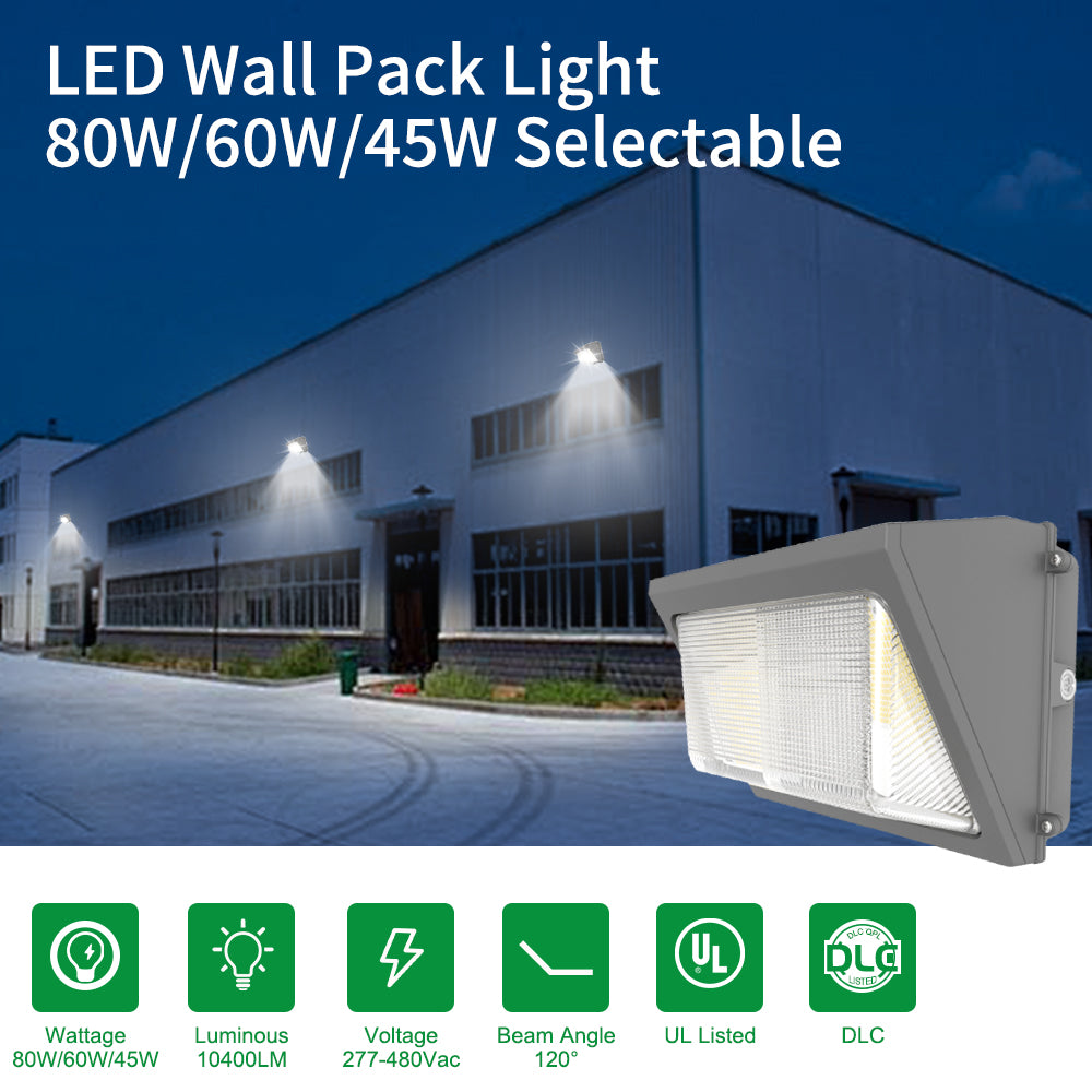 Haloitte Lighting Wall Pack Light