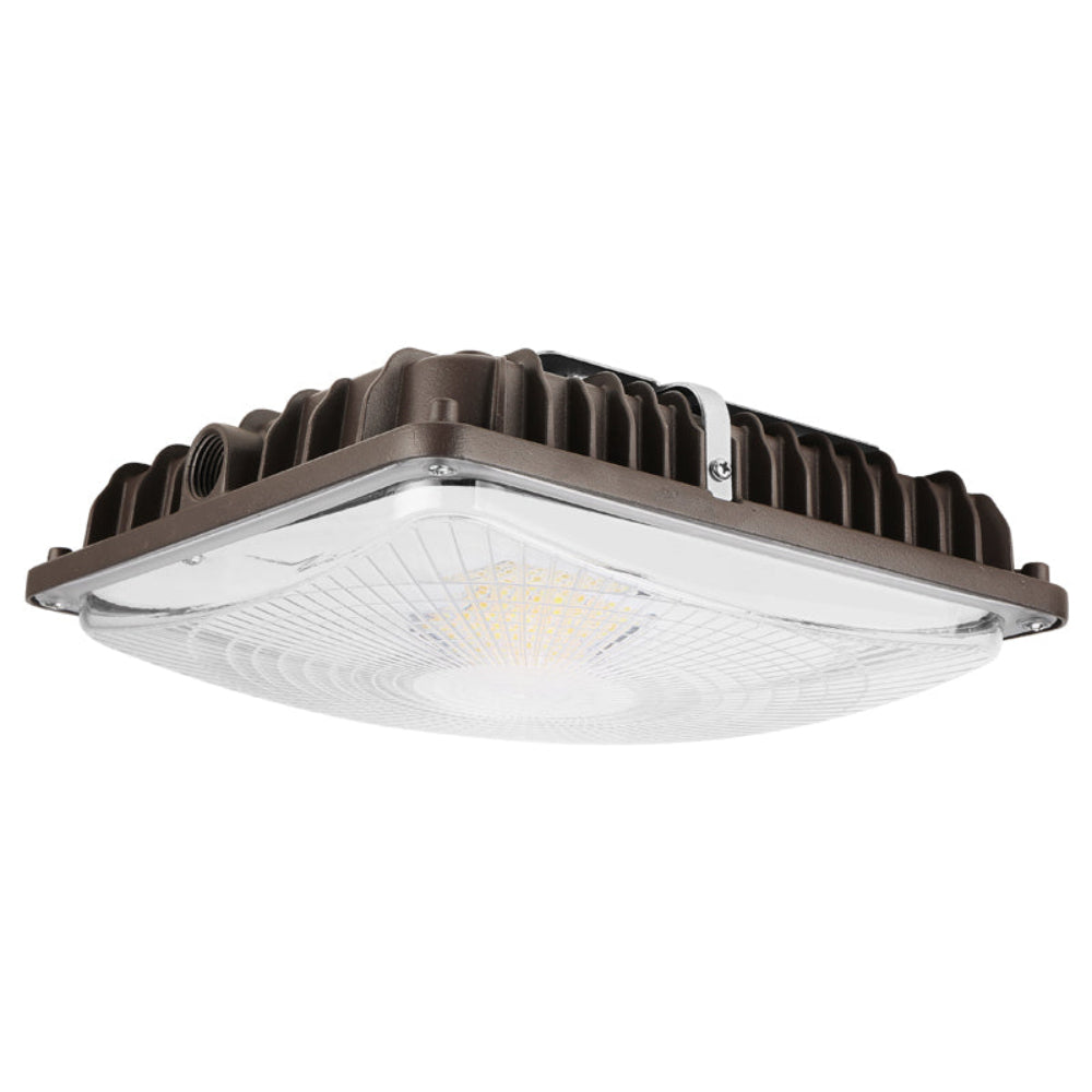 Haloitte Lighting Canopy Light