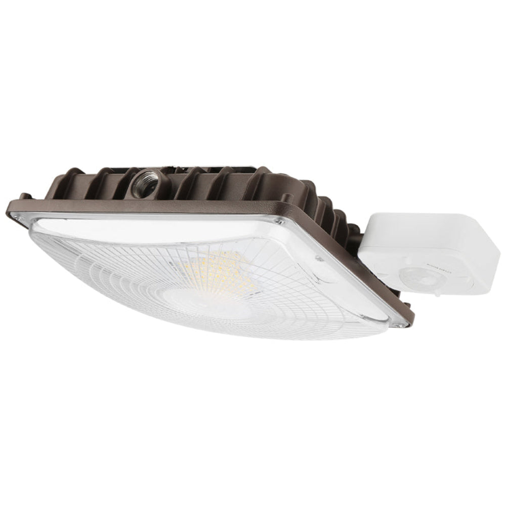 Haloitte Lighting Canopy Light