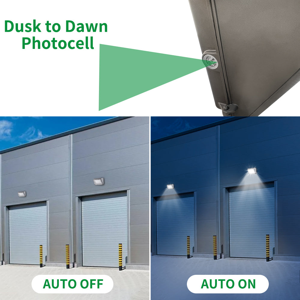 Haloitte Lighting Wall Pack Light