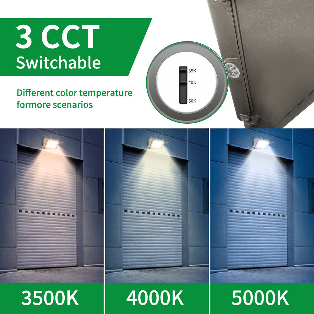 Haloitte Lighting Wall Pack Light