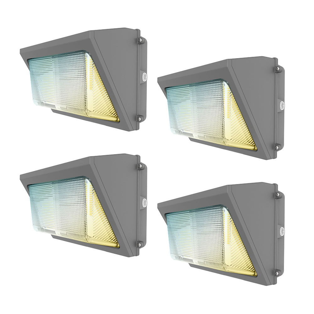 Haloitte Lighting Wall Pack Light