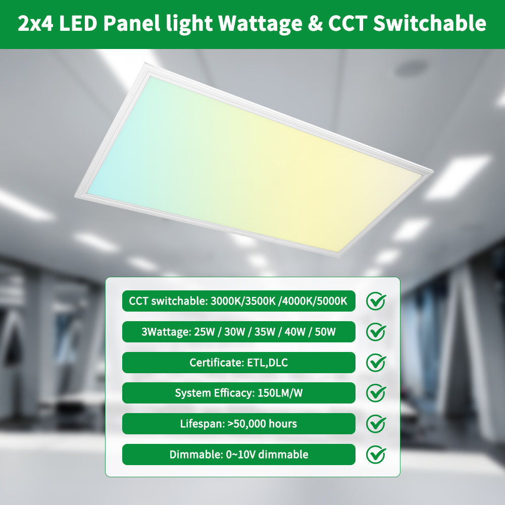 Haloitte Lighting 2x4ft Panel Light