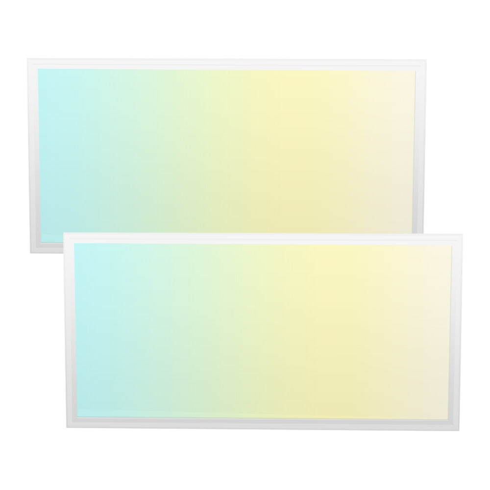 Haloitte Lighting 2x4ft Panel Light