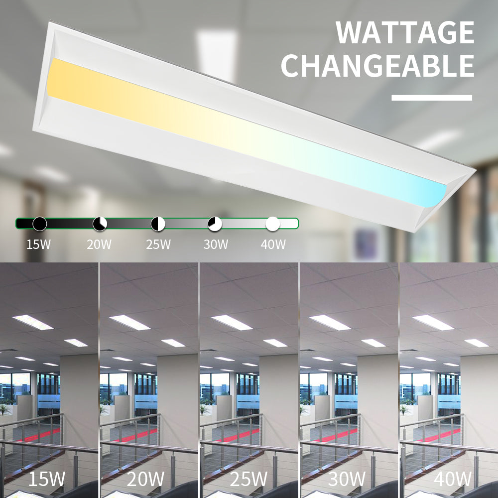 Haloitte Lighting 1x4 Troffer Light