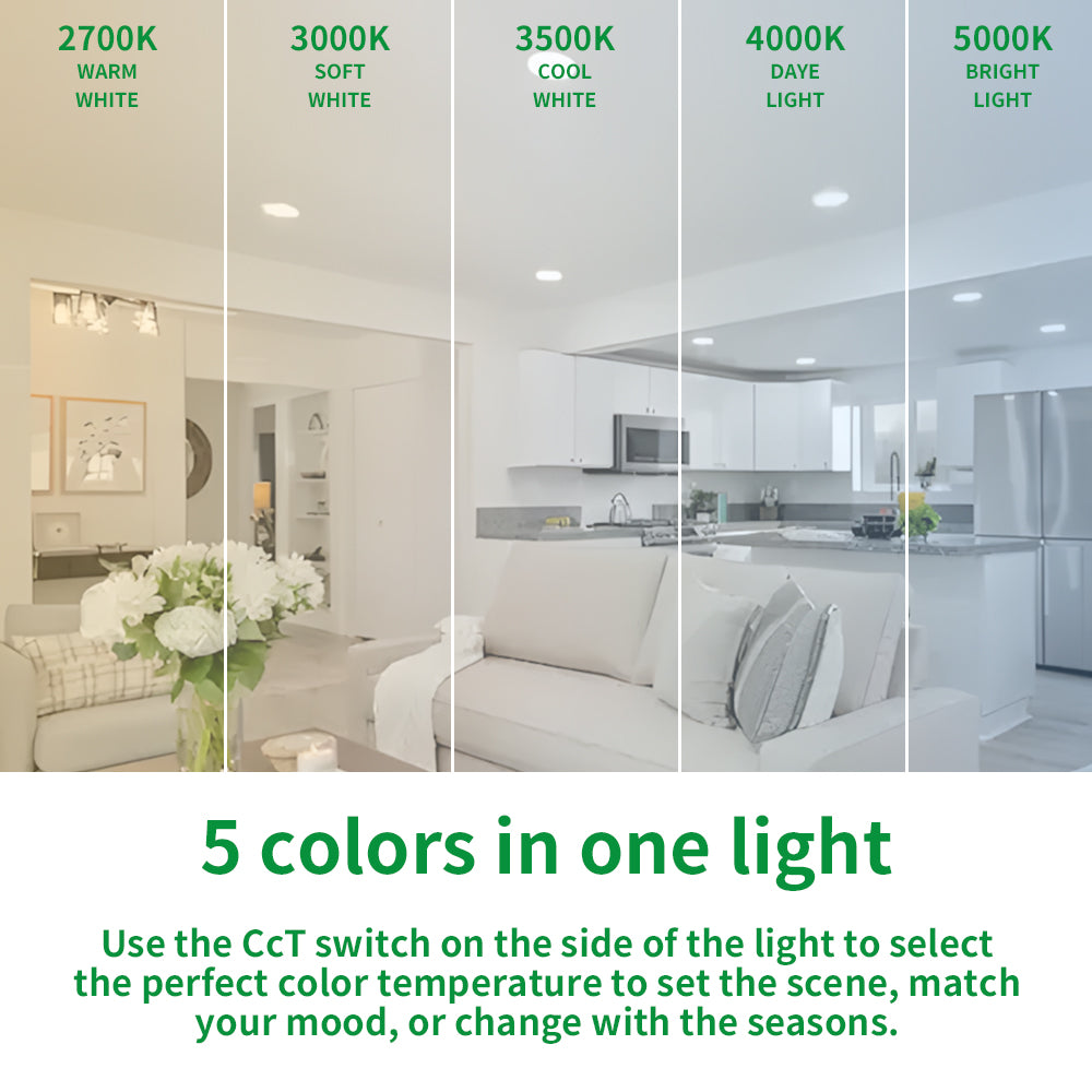 Haloitte Lighting 4 Inch Retrofit Recessed Downlight