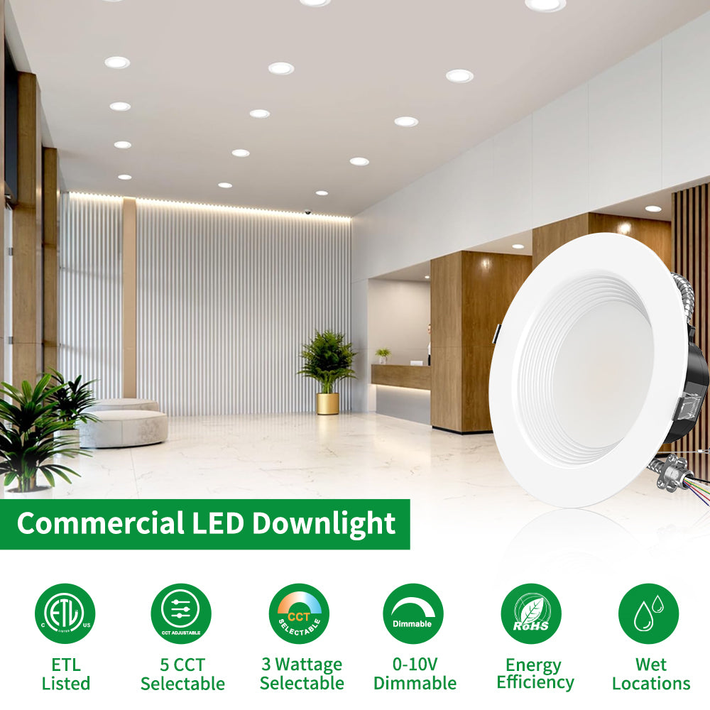 Haloitte Lighting 9.5 Inch Commercial Downlighting