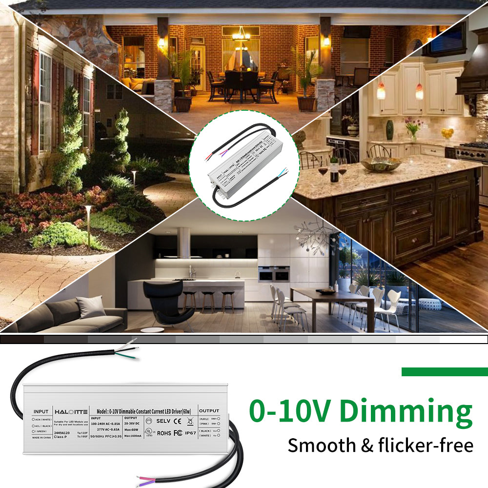 Haloitte Lighting 60W LED Driver