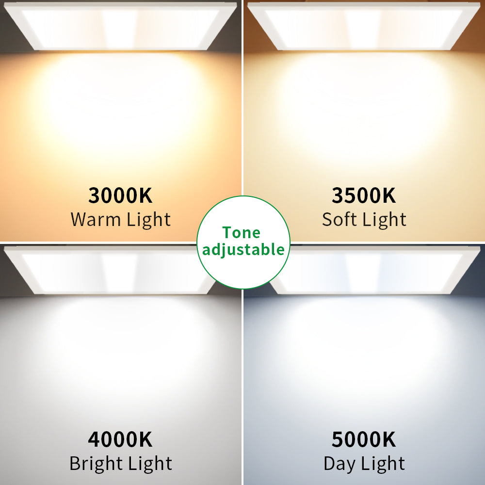 Haloitte Lighting 2x4ft Troffer Light