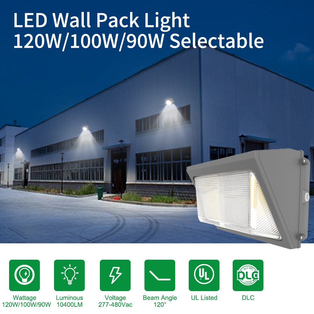 Haloitte Lighting Wall Pack Light