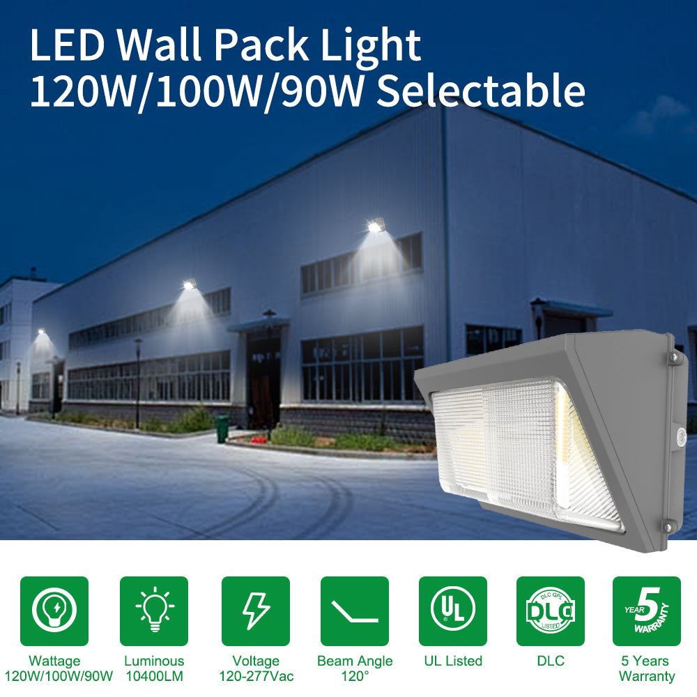 Haloitte Lighting Wall Pack Light