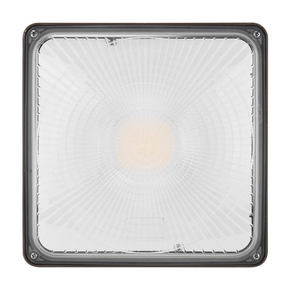 Haloitte Lighting Canopy Light
