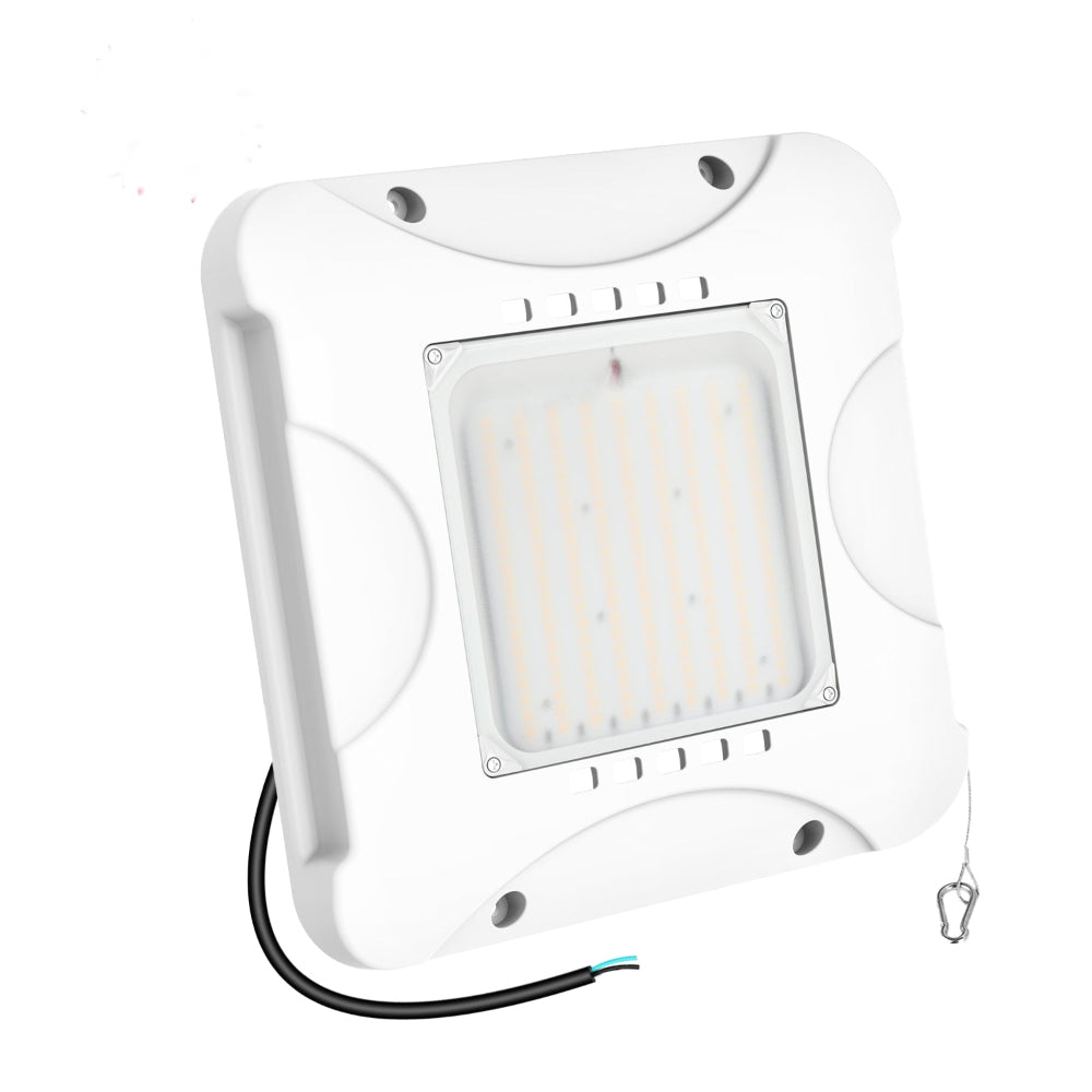 Haloitte Lighting Gas Canopy Light