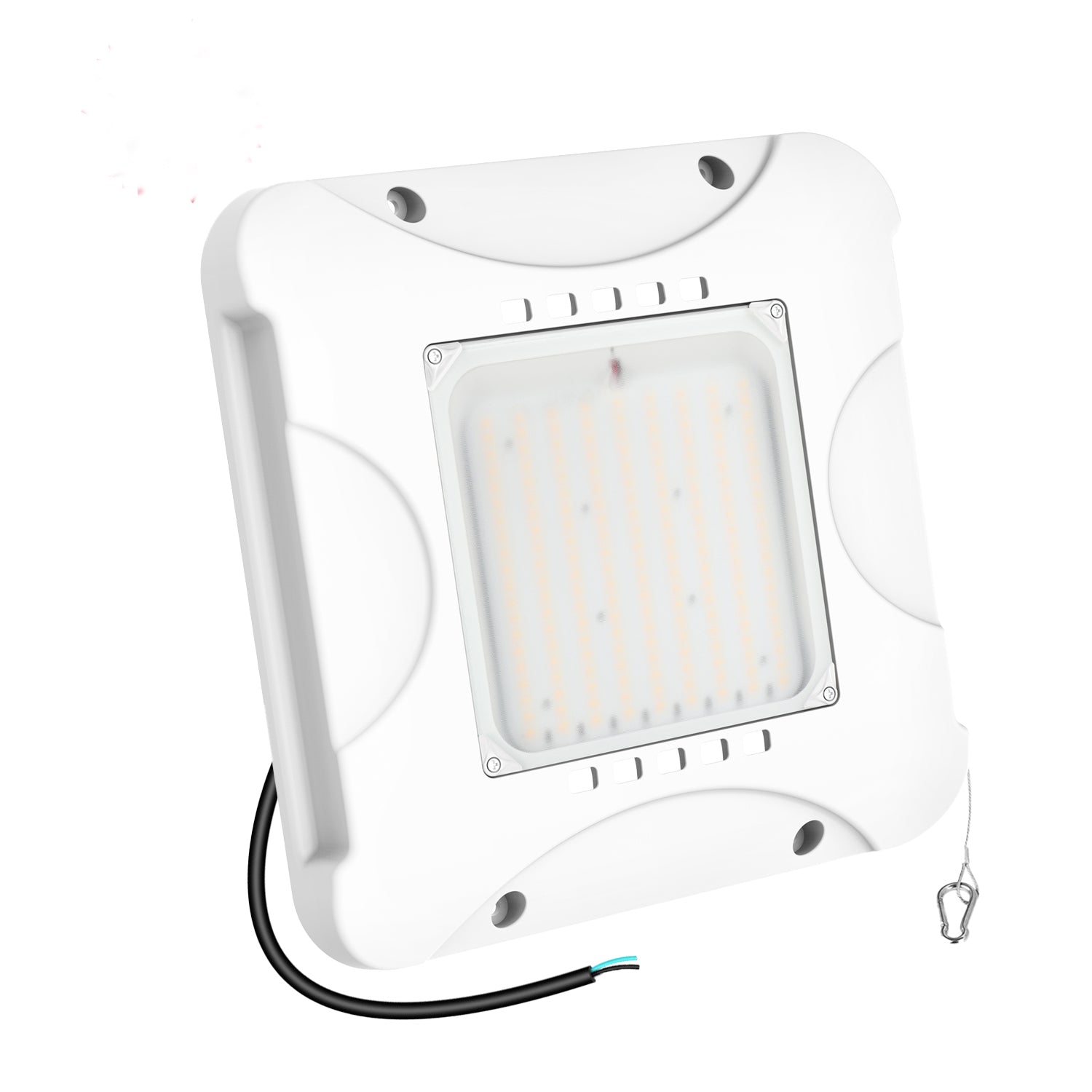 Haloitte Lighting Gas Canopy Light