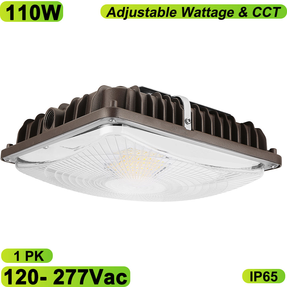 Haloitte Lighting Canopy light