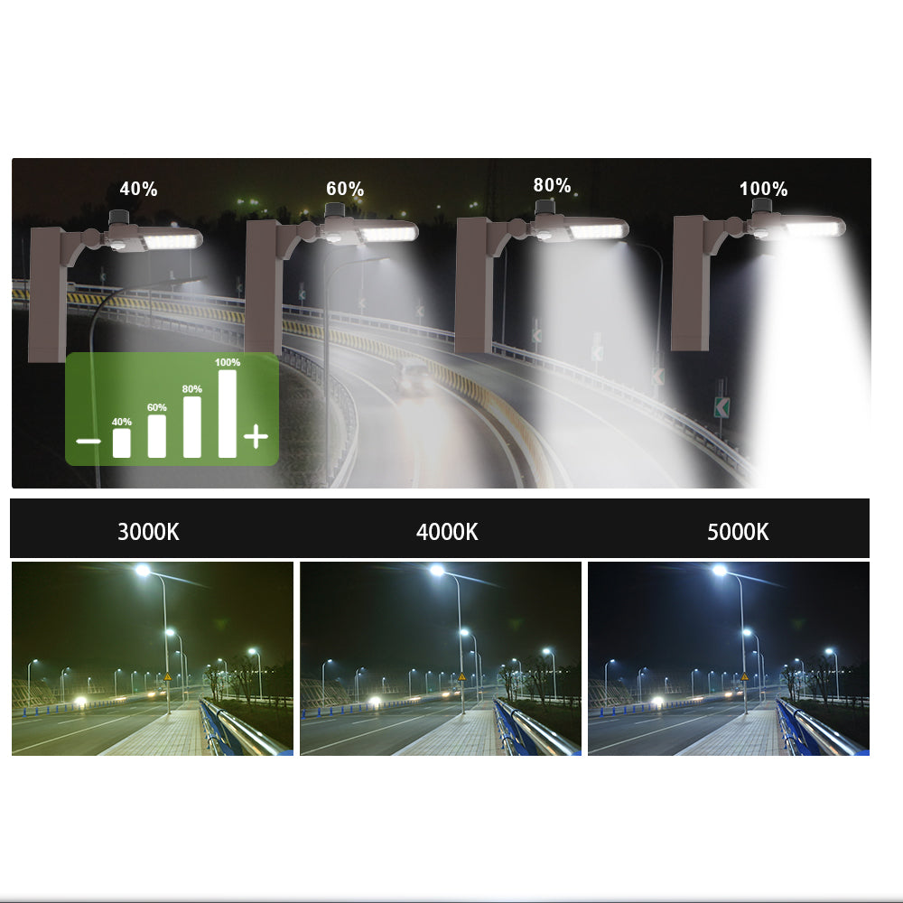 Haloitte Lighting  LED Area Light
