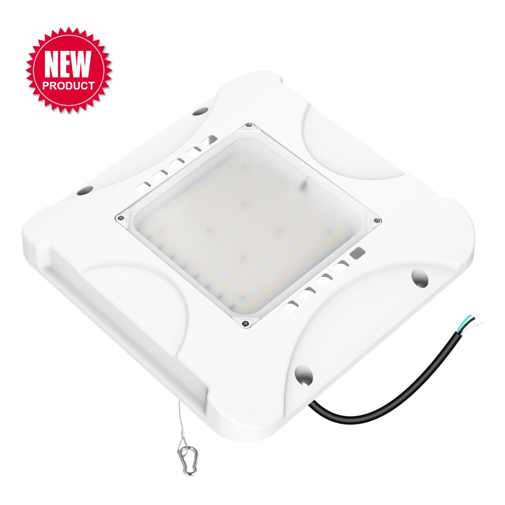 Haloitte Lighting LED Gas Canopy Light
